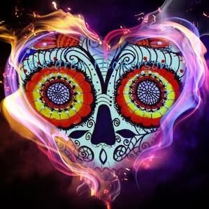 Meet your Posher, Elicia